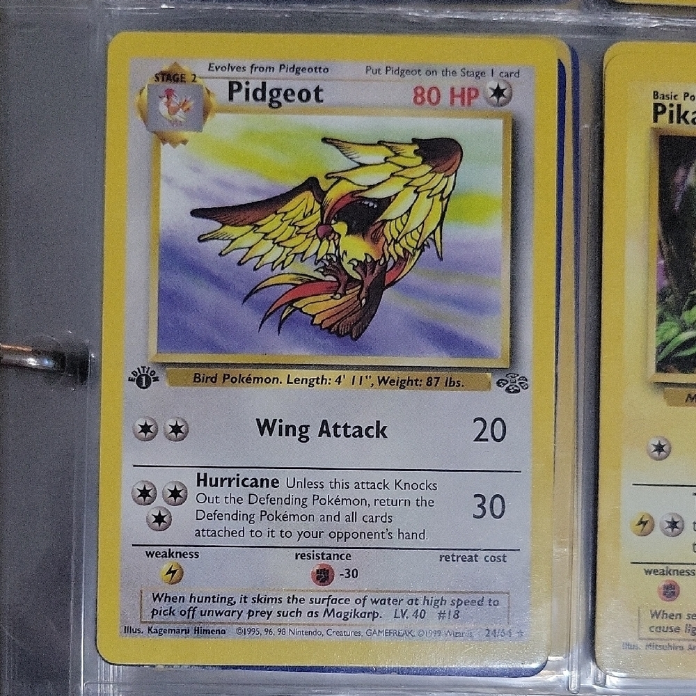 Pokemon Card Pidgeot